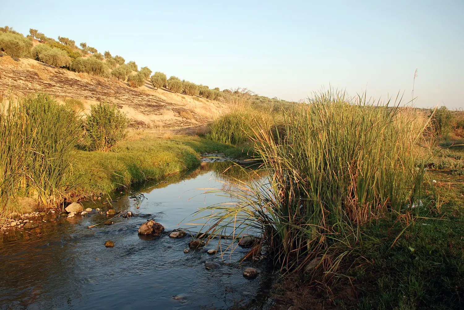 Afrin,Dara