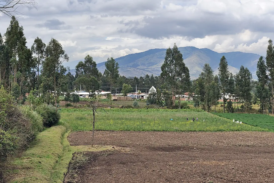 Ecuador Oyambaro agri landscape 01