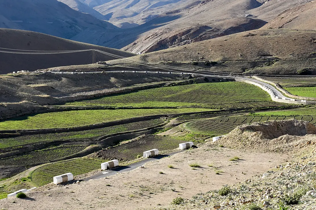 Kibber Agri Spiti Himachal Jun18 D72 7258
