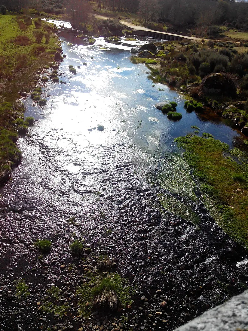 Nacimiento río Águeda II