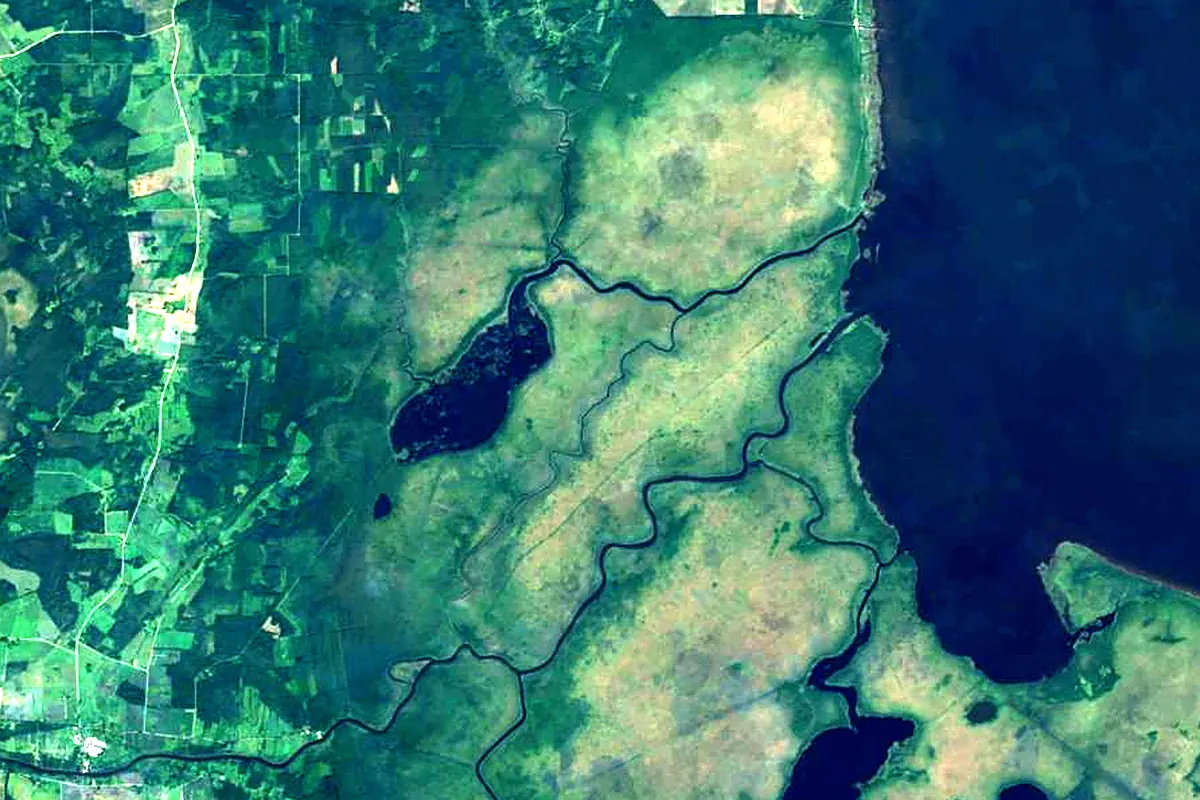 Ahja River: satellite view of the mouth
