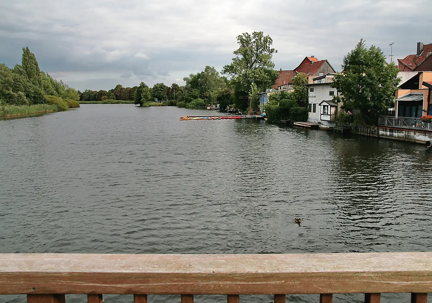 Aller in Blumlage (Celle) IMG 2472