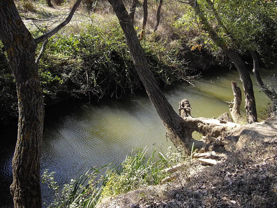 Alma river