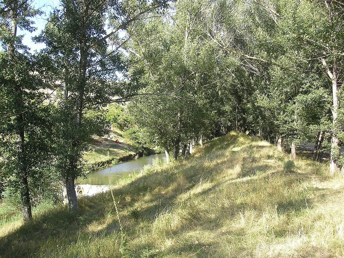 Alma Balki1