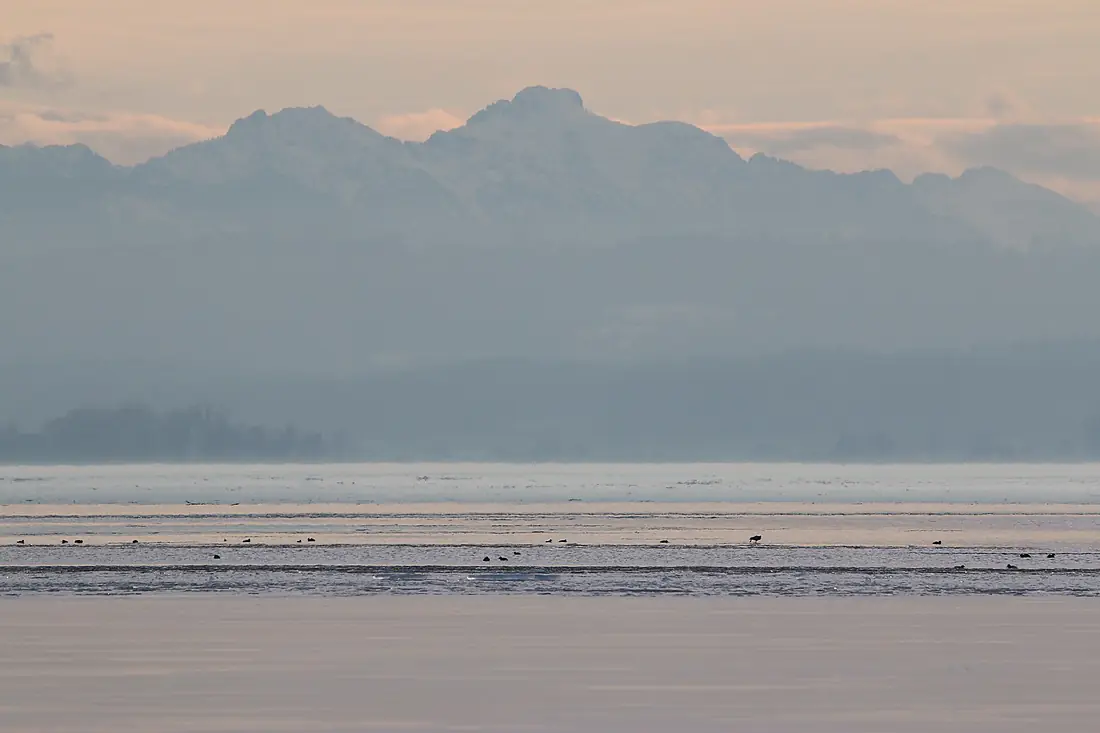 Ammersee und Alpen