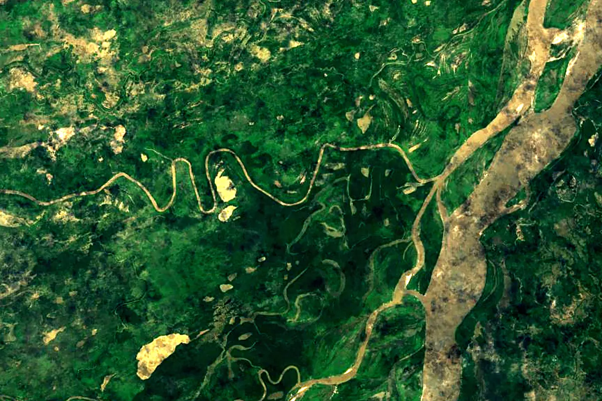 Arauca River: satellite view of the mouth