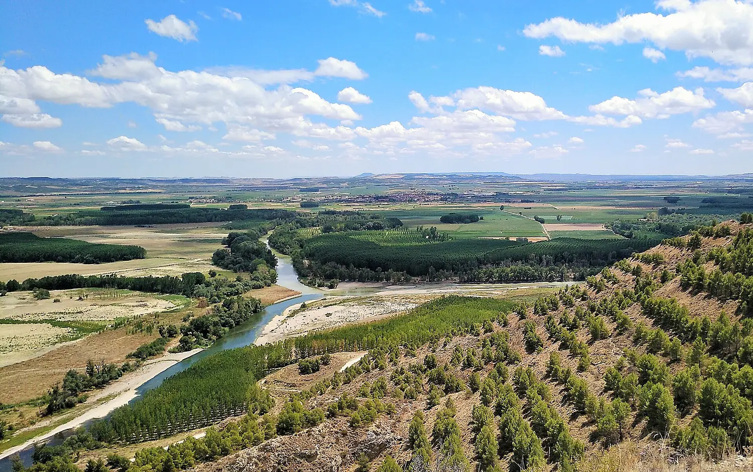 Arga eta Aragoi ibaien elkargunea - Peñalen