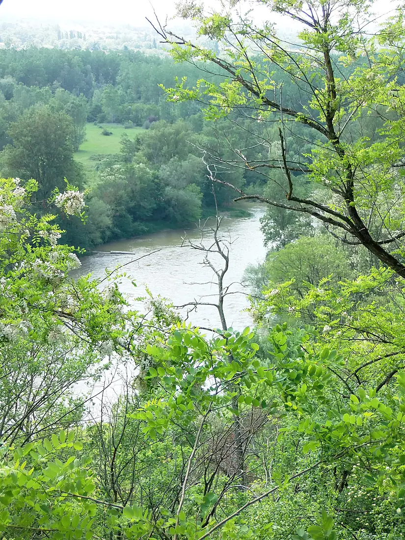 Clermont-le-Fort vue sur l'Ariège (rivière) - 2016b
