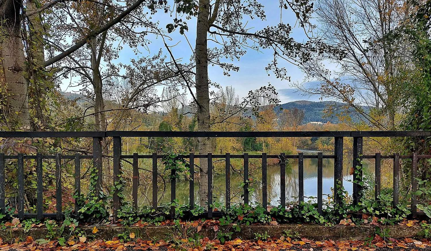 Passeggiata sul fiume Arno in autunno - Vallina Bagno a Ripoli (Fi)