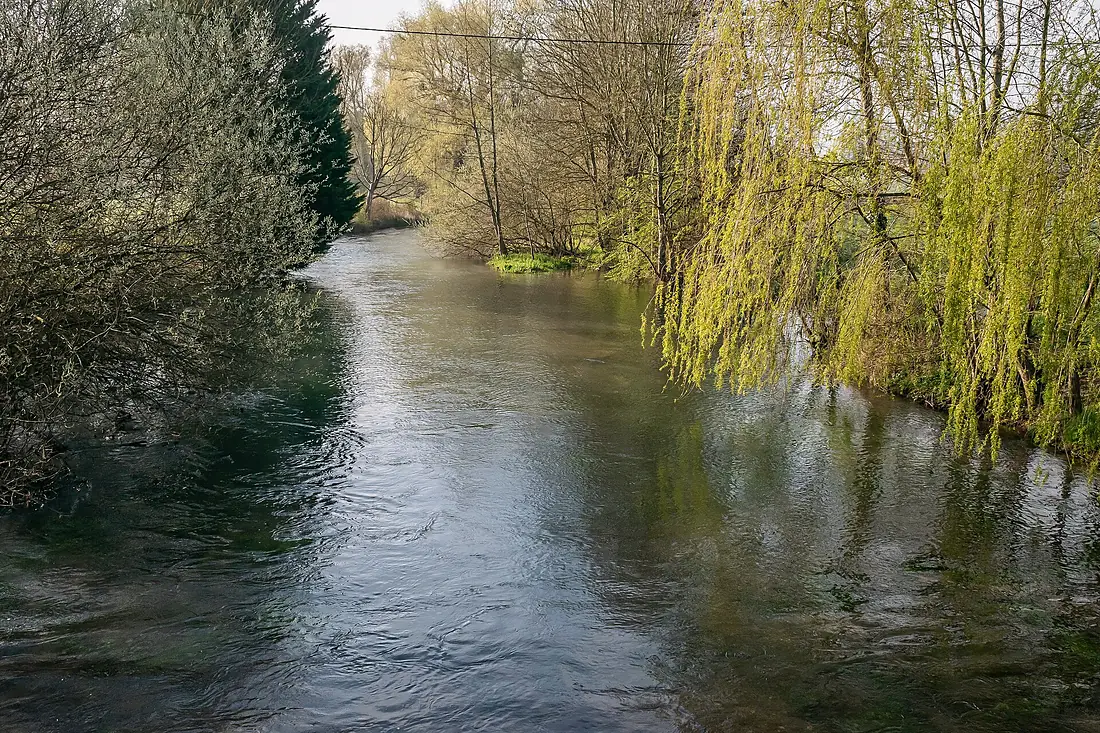 Aube river in Montigny-sur-Aube (6)