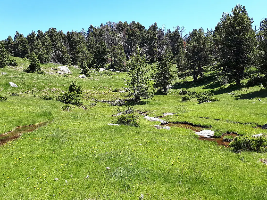 Source of the River Aude