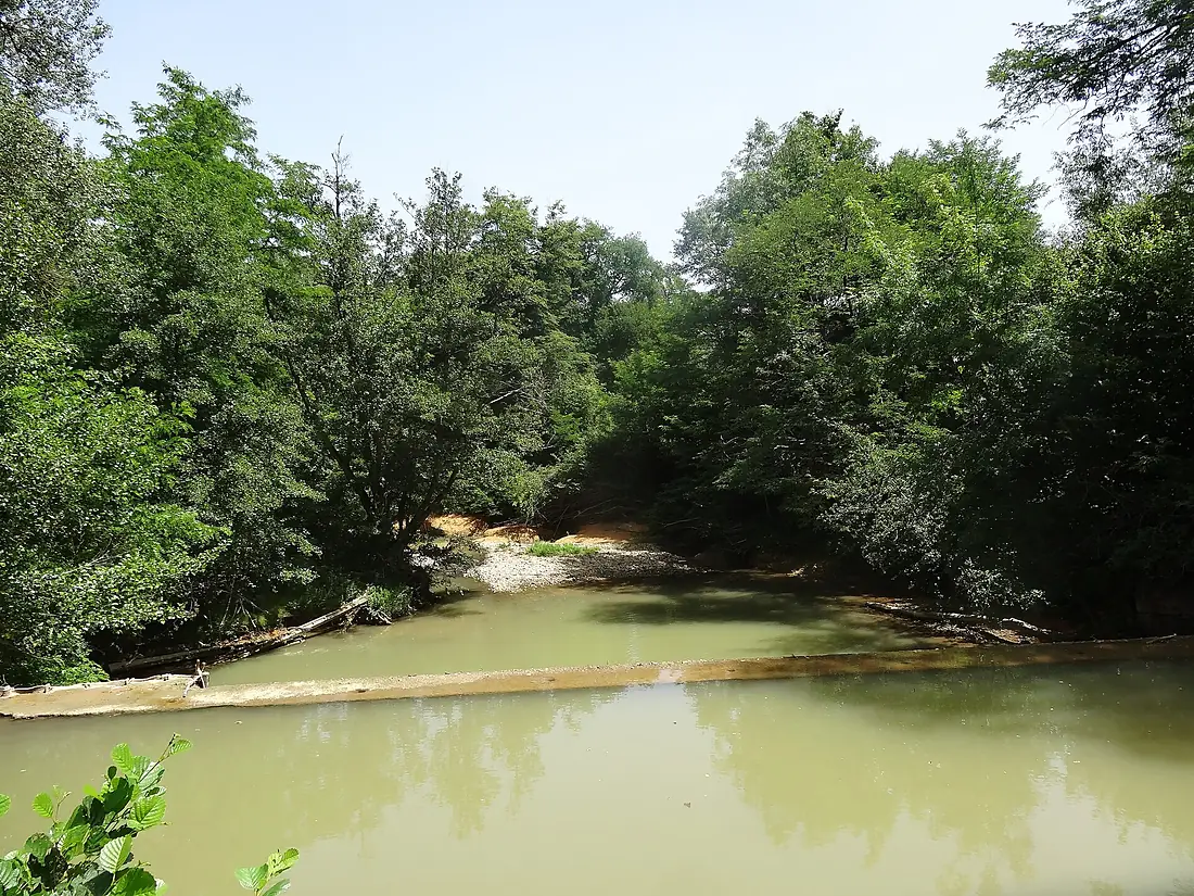Barrage sur la Baïse à Barcugnan et Montaut (2019)