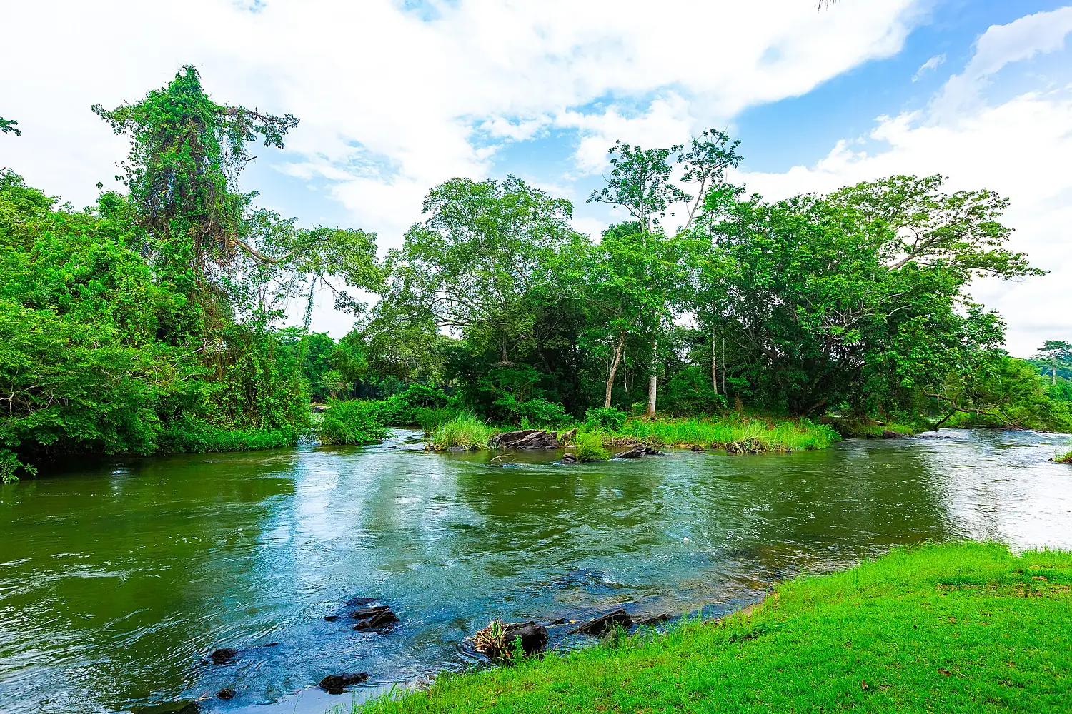Fleuve Bandama - Green Card-11