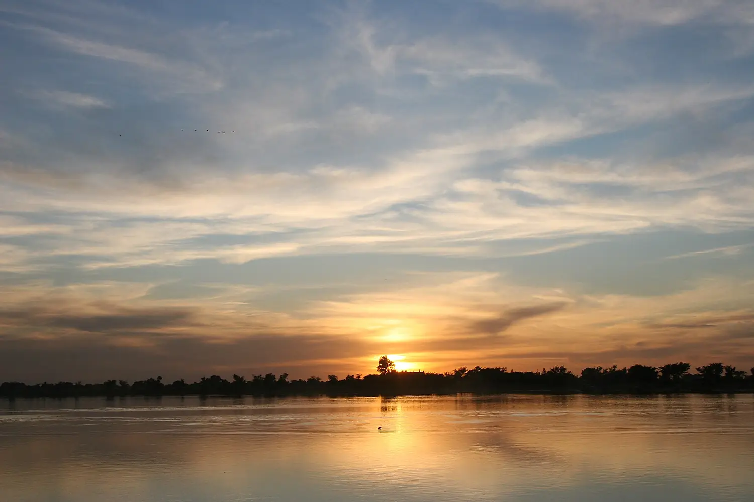 Bani river