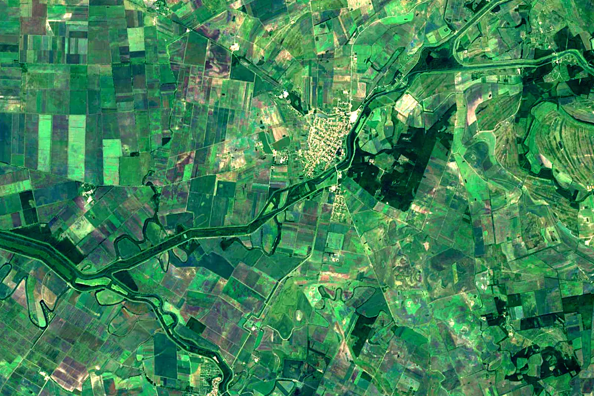 Barcău River: satellite view of the mouth
