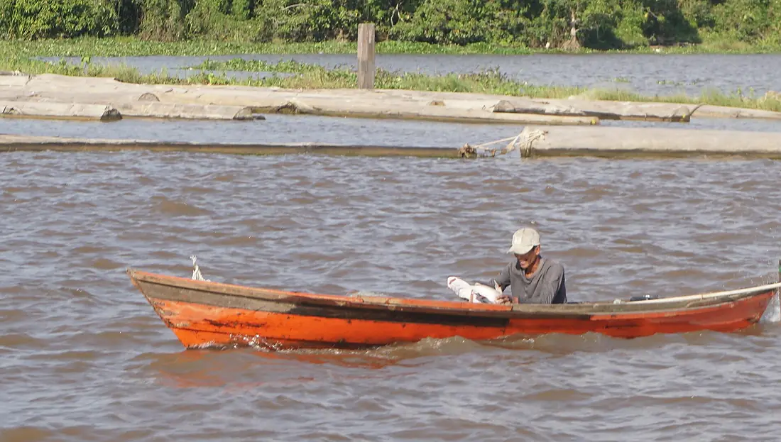 Pencari ikan di Sungai Barito