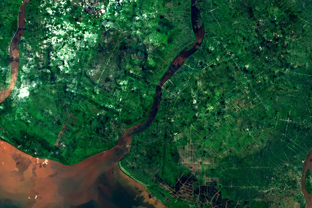 Barito River: satellite view of the mouth