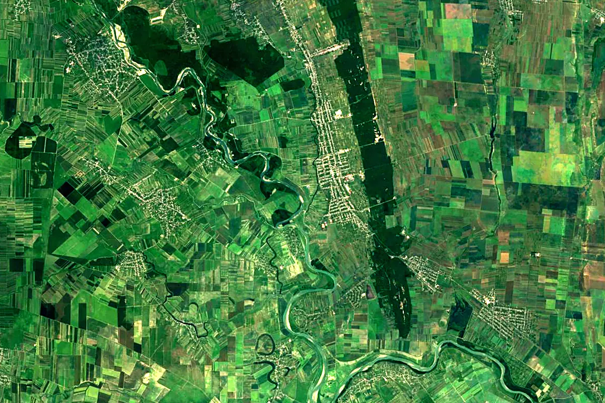 Bârlad River: satellite view of the mouth