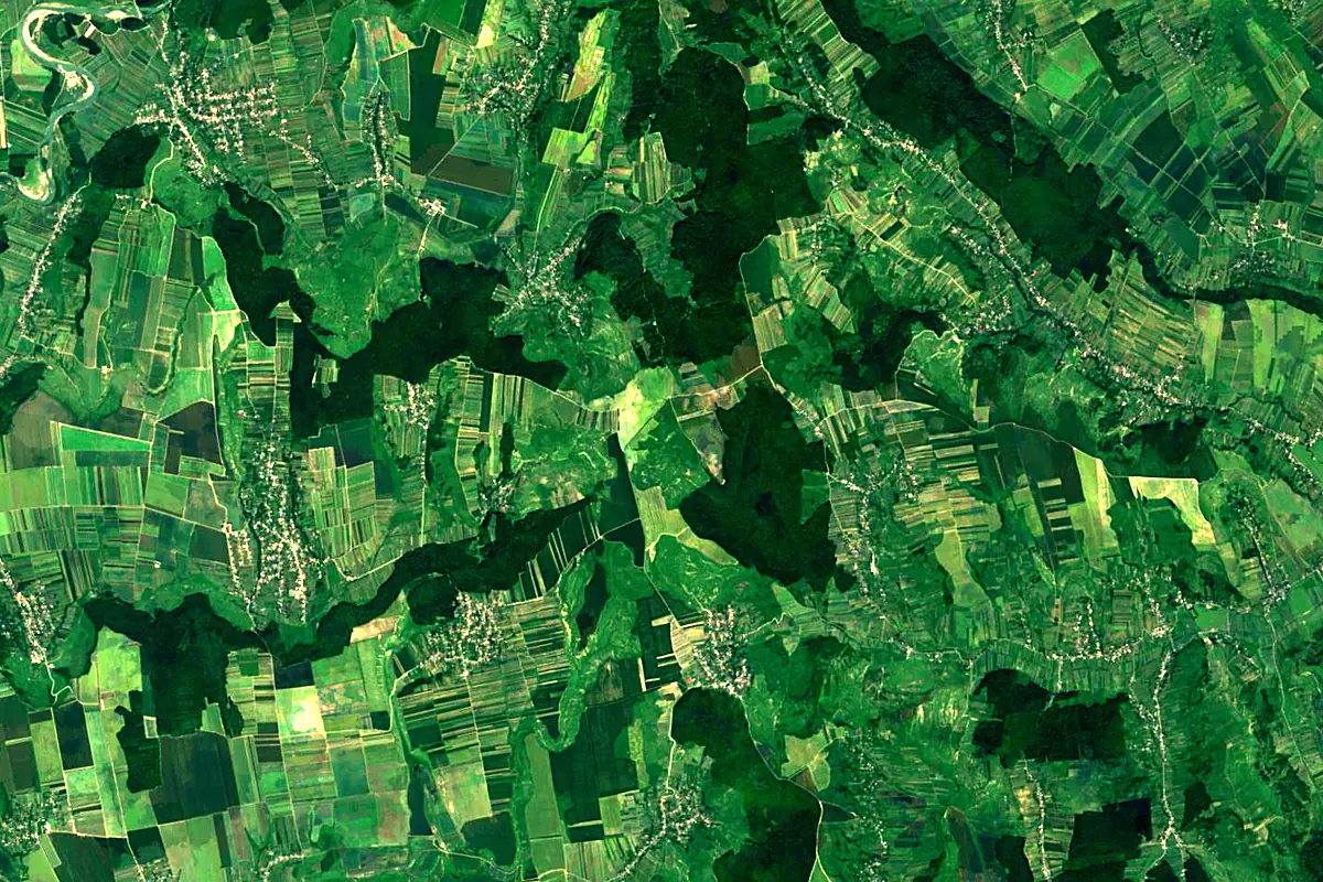 Bârlad River: satellite view of the source