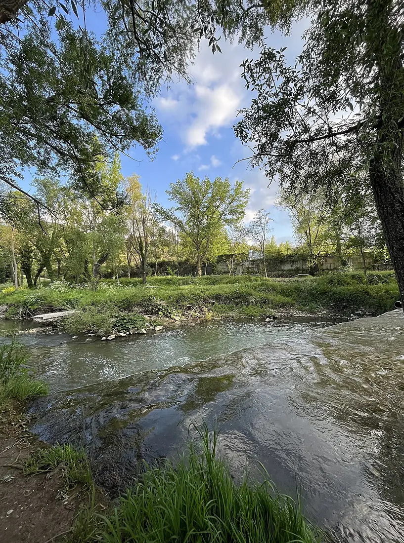 Parco Fluviale del Basento (Potenza)