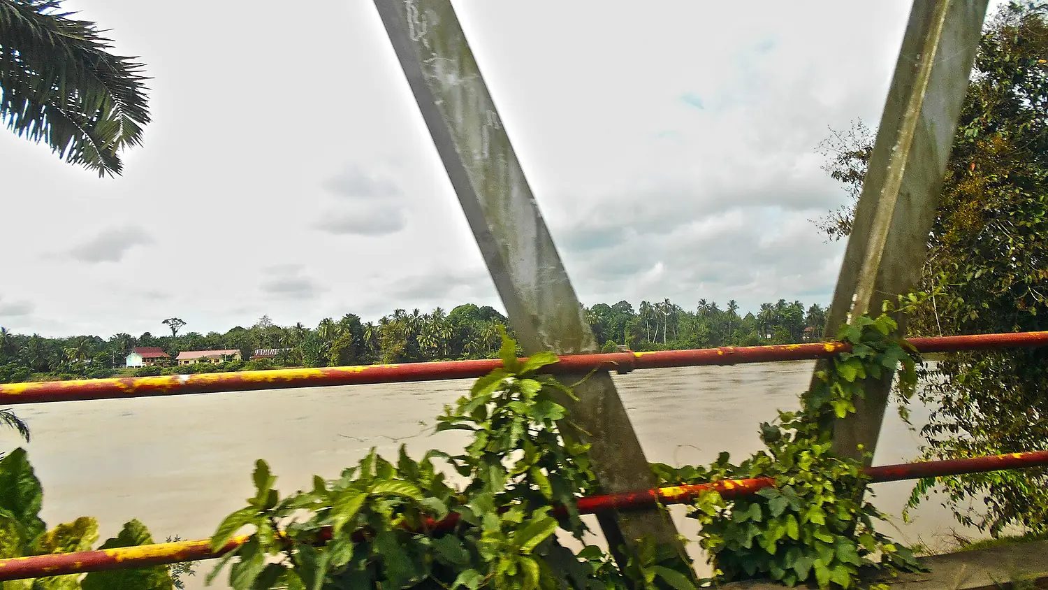 Batang Hari River view from Mersam, Batanghari, JA (22 June 2020)