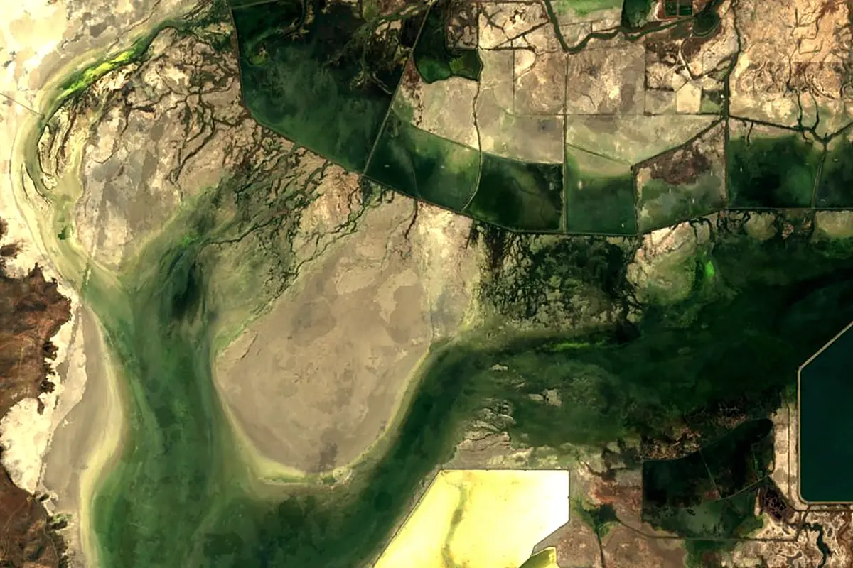 Bear River: satellite view of the mouth