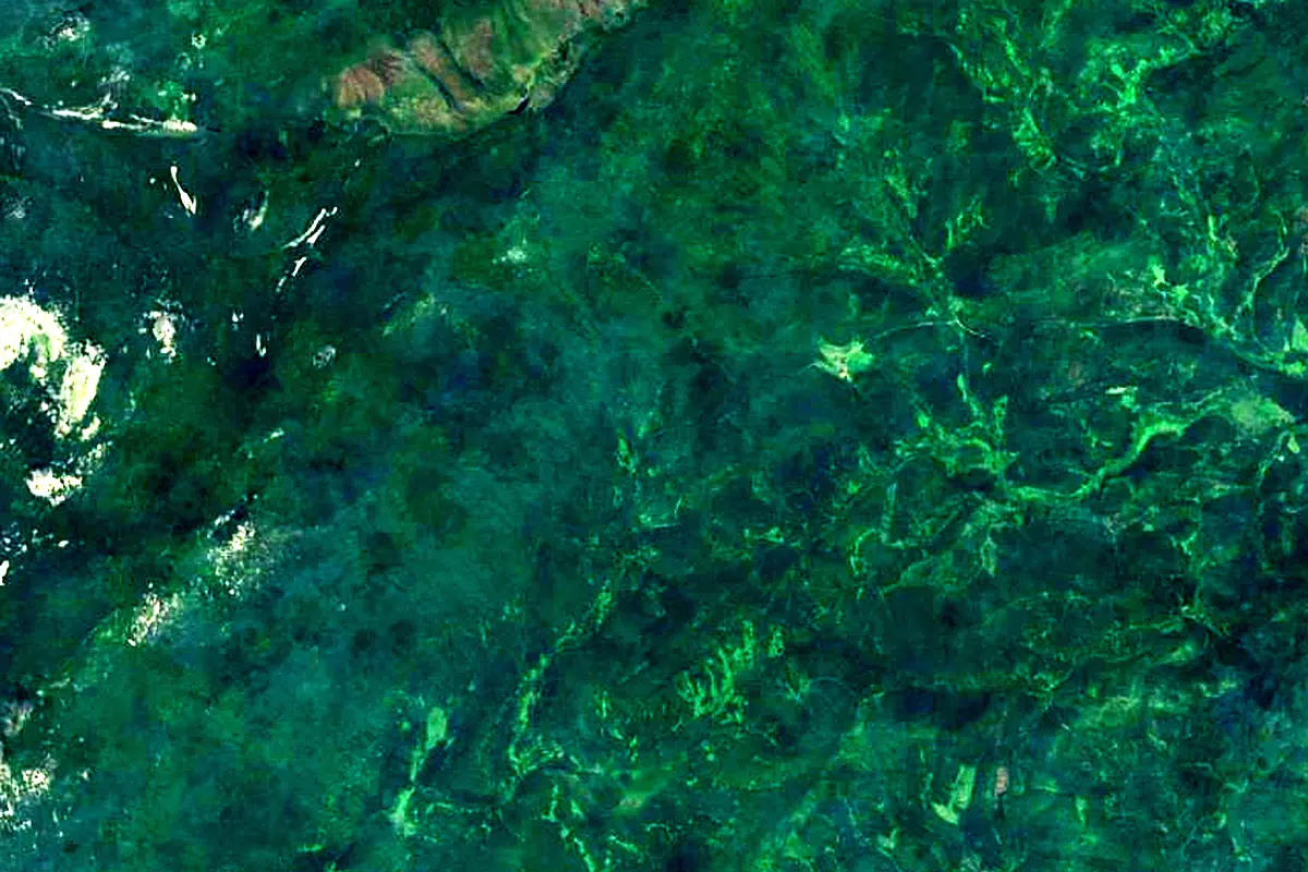 Belaya: satellite view of the source
