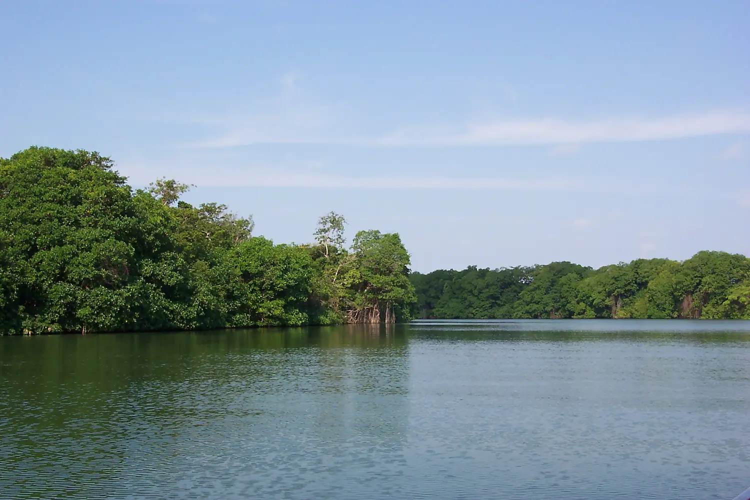 BelizeRiverShot