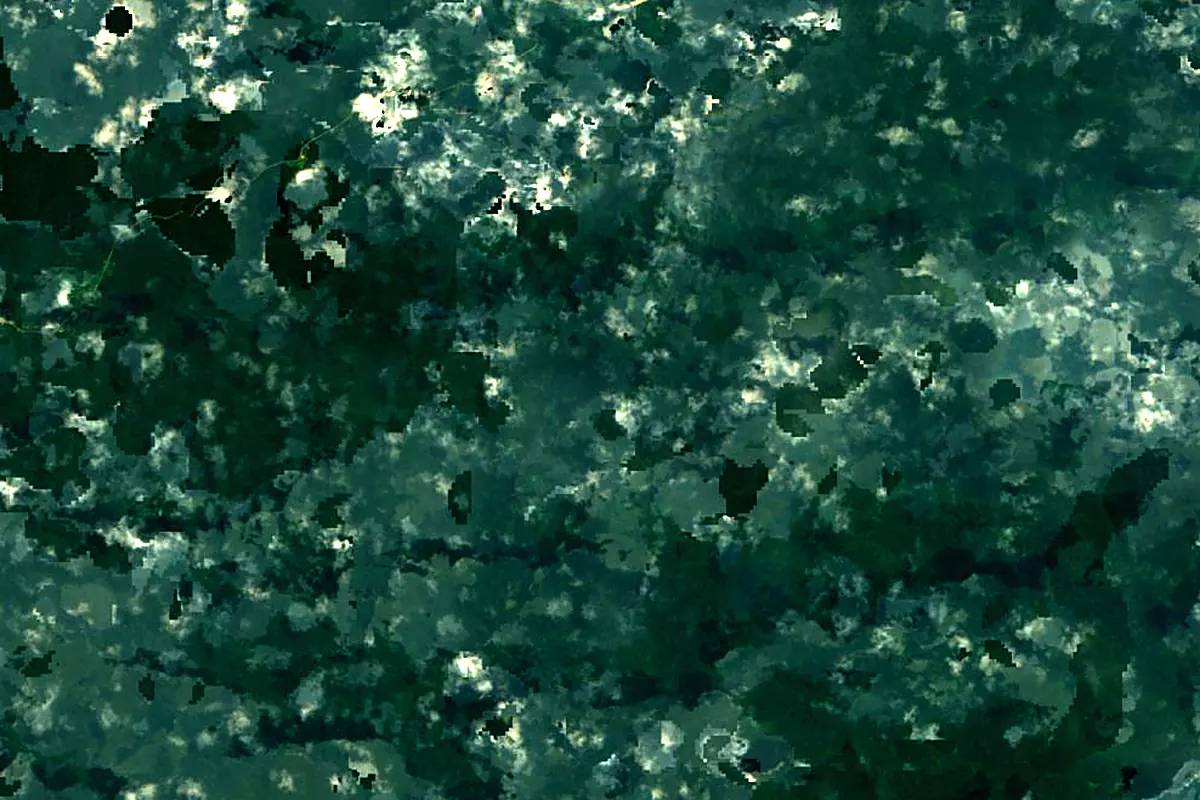 Benito River: satellite view of the source