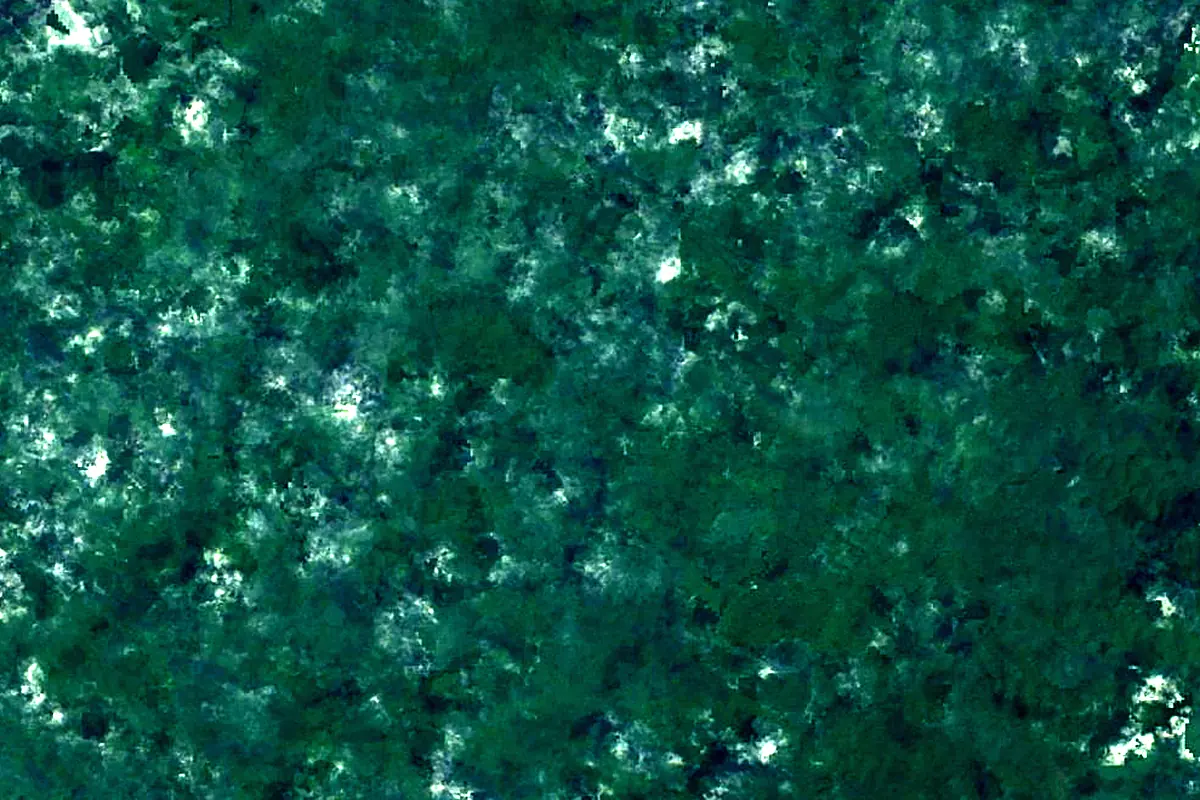 Berbice River: satellite view of the source