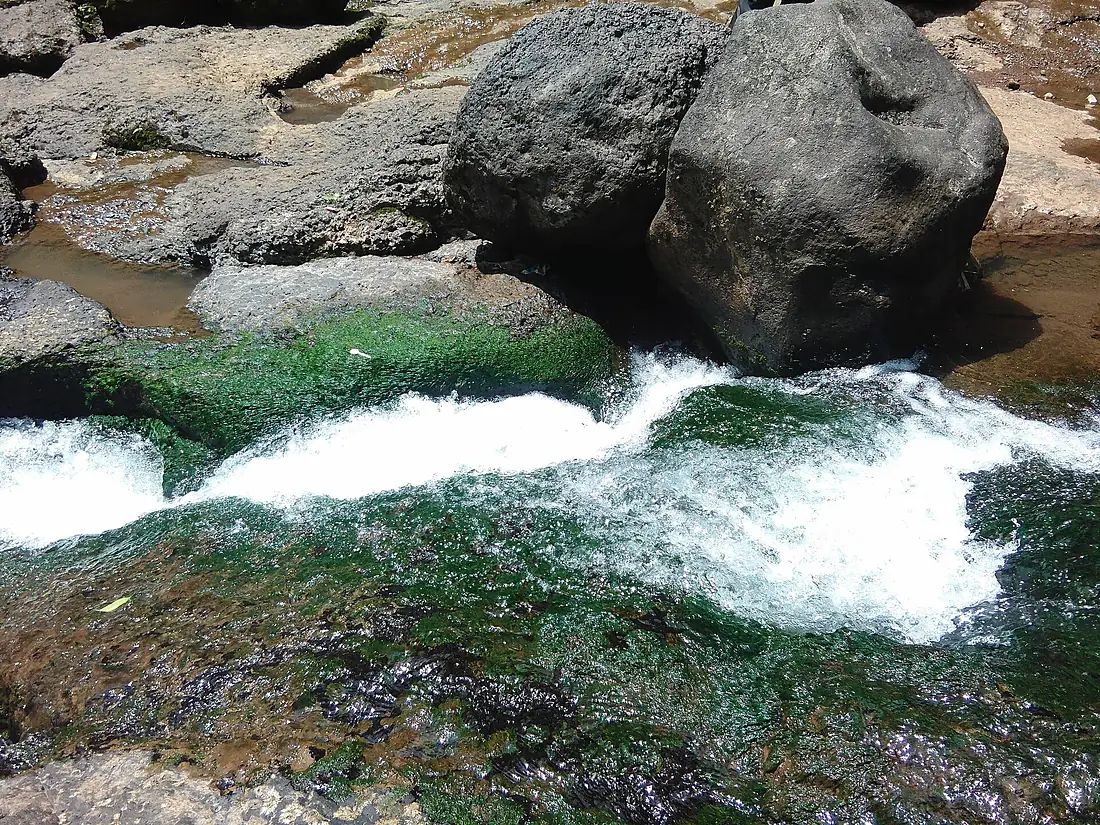Bhima river