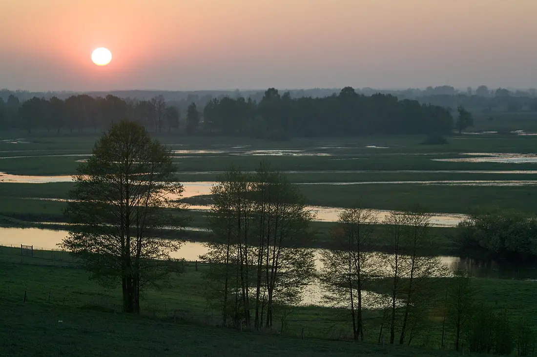 Biebrza River 04(js), Poland