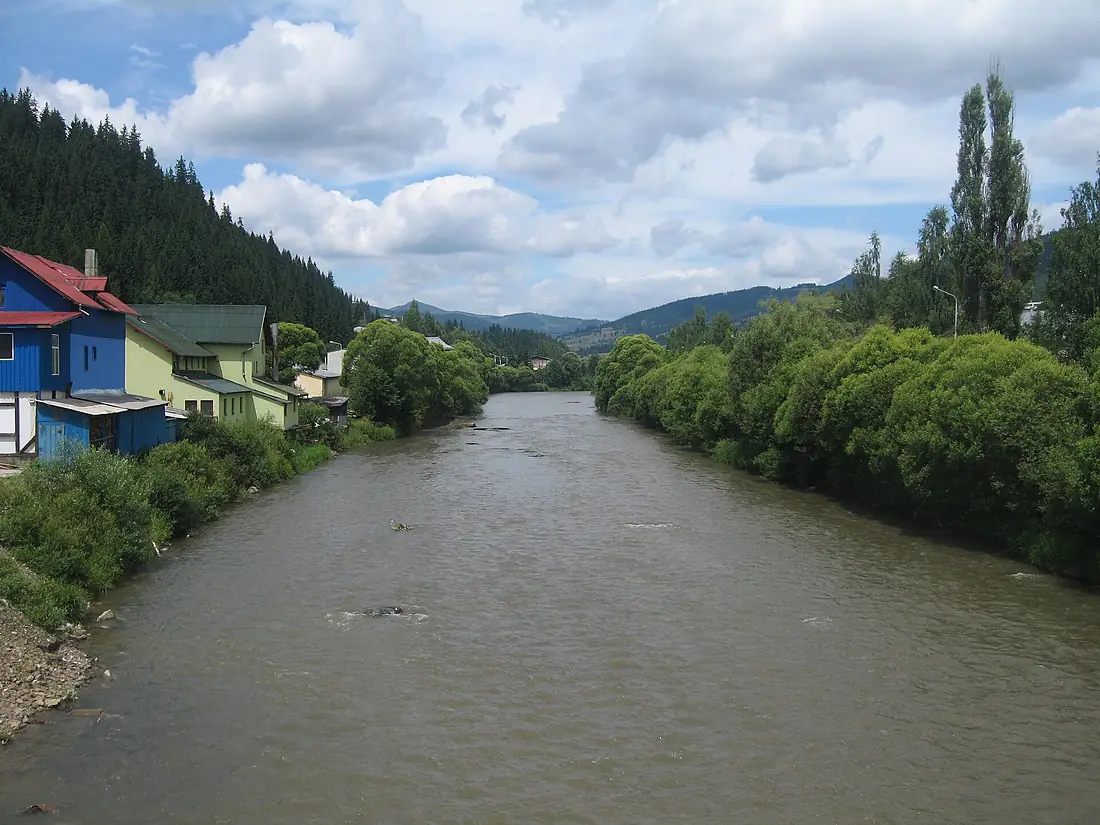 Raul Bistrita Aurie