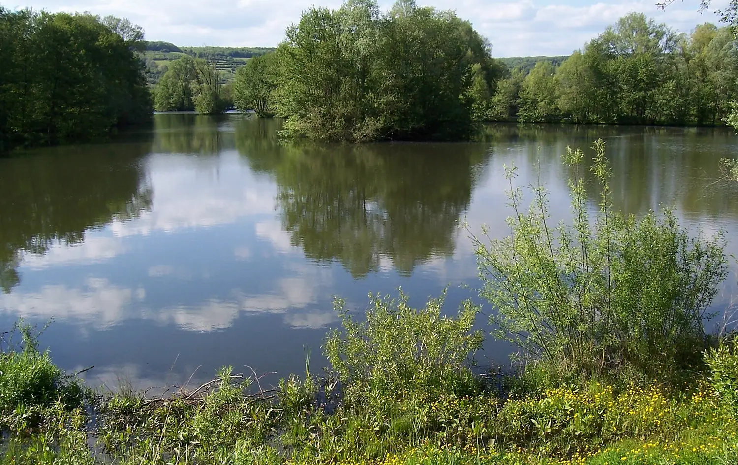 Blies river near Bliesbruck