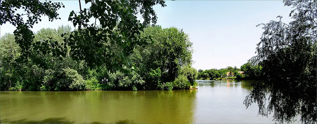 Na sútoku Bodrogu a Tisy ^ At the confluence of the rivers Bodrog and Tisa - panoramio
