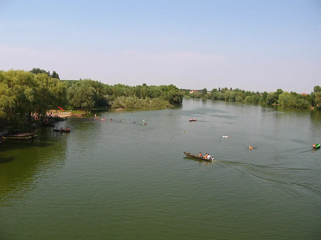 Bosut River