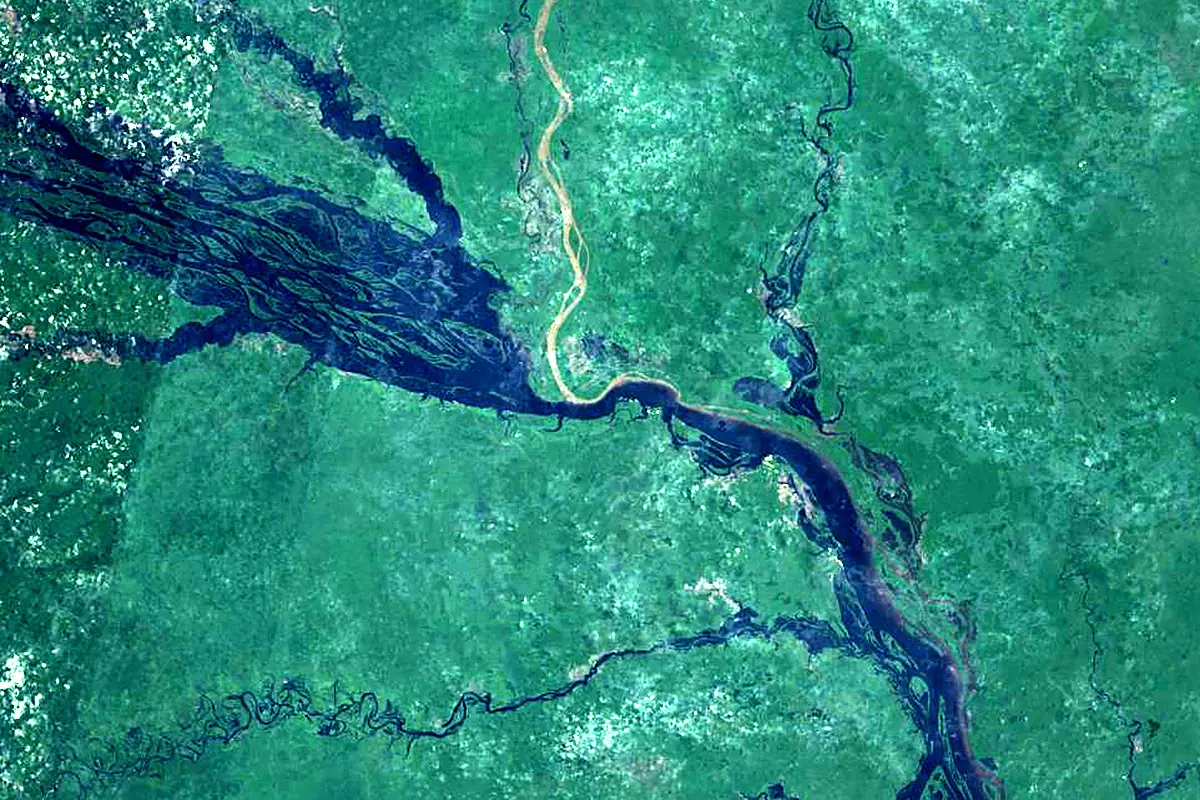 Branco River: satellite view of the mouth