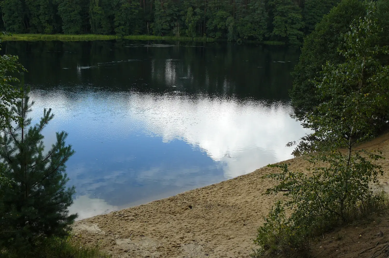 Brda river in Bydgoszcz, Smukala and Oplawiec districts (3)