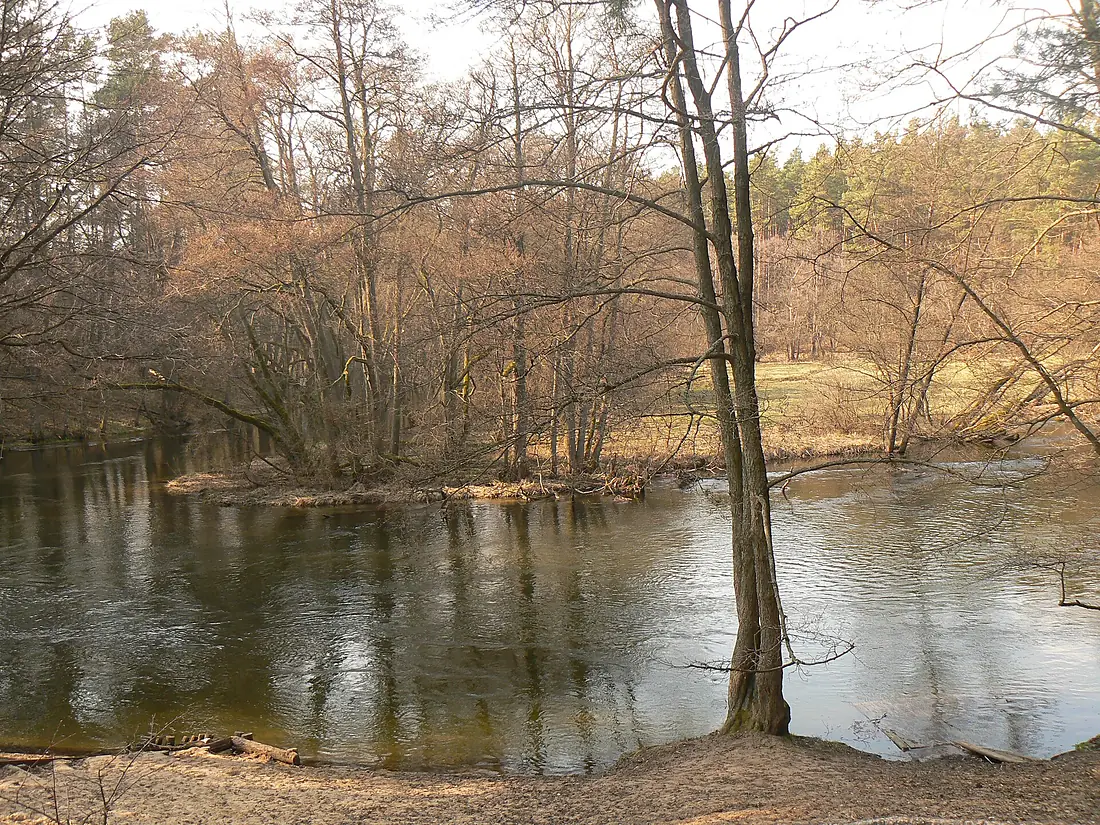 Brda River