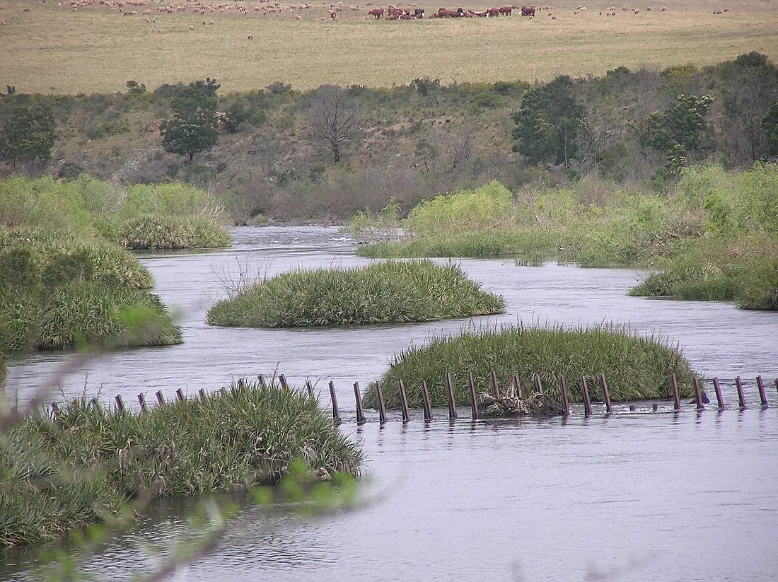 Breede River PA020053