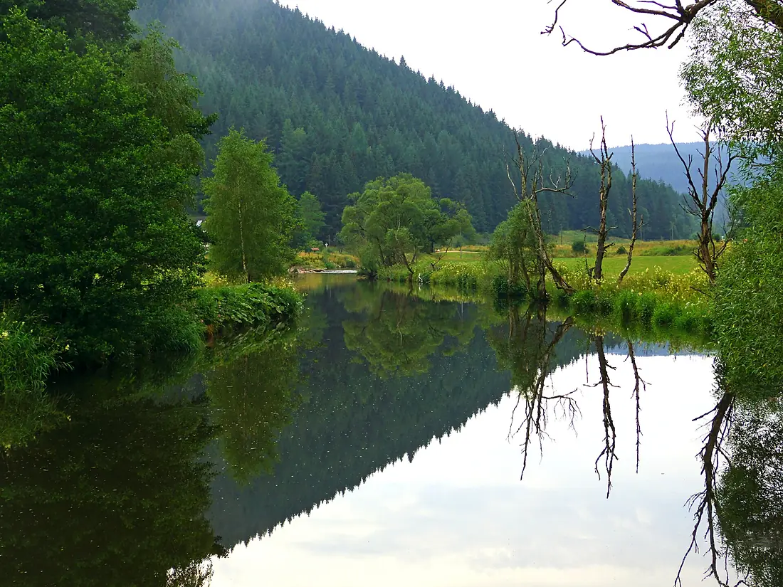 The River Breg - panoramio