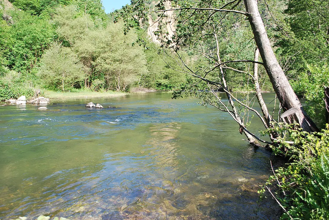 Bregalnica river 002