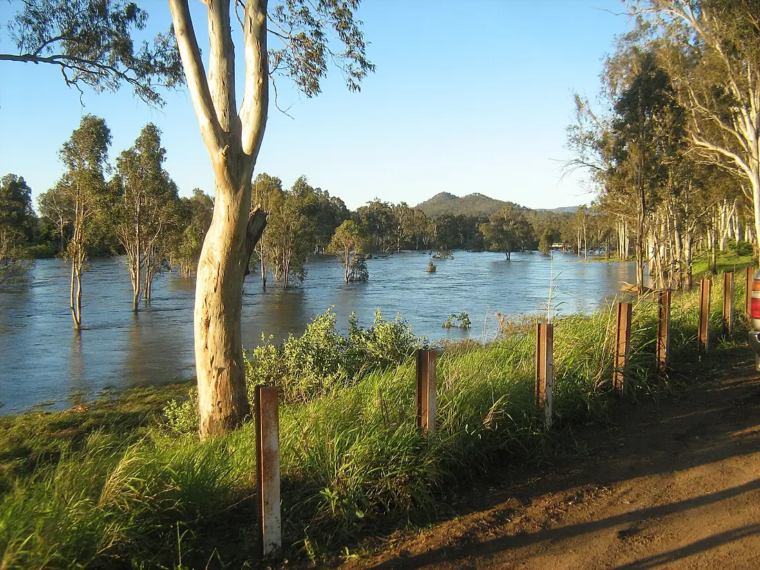Brisbane River Downstream From Wivenhoe Dam 2010 While Spillway Is Open
