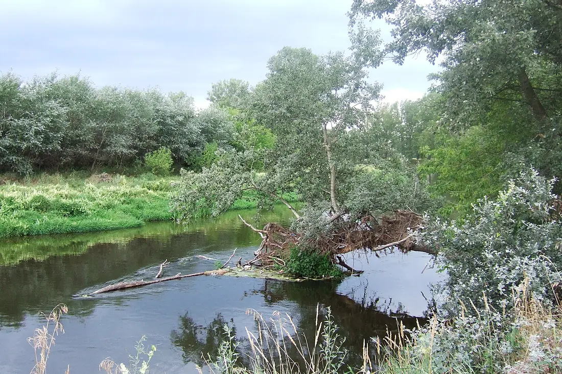 Bzura River near Brochów