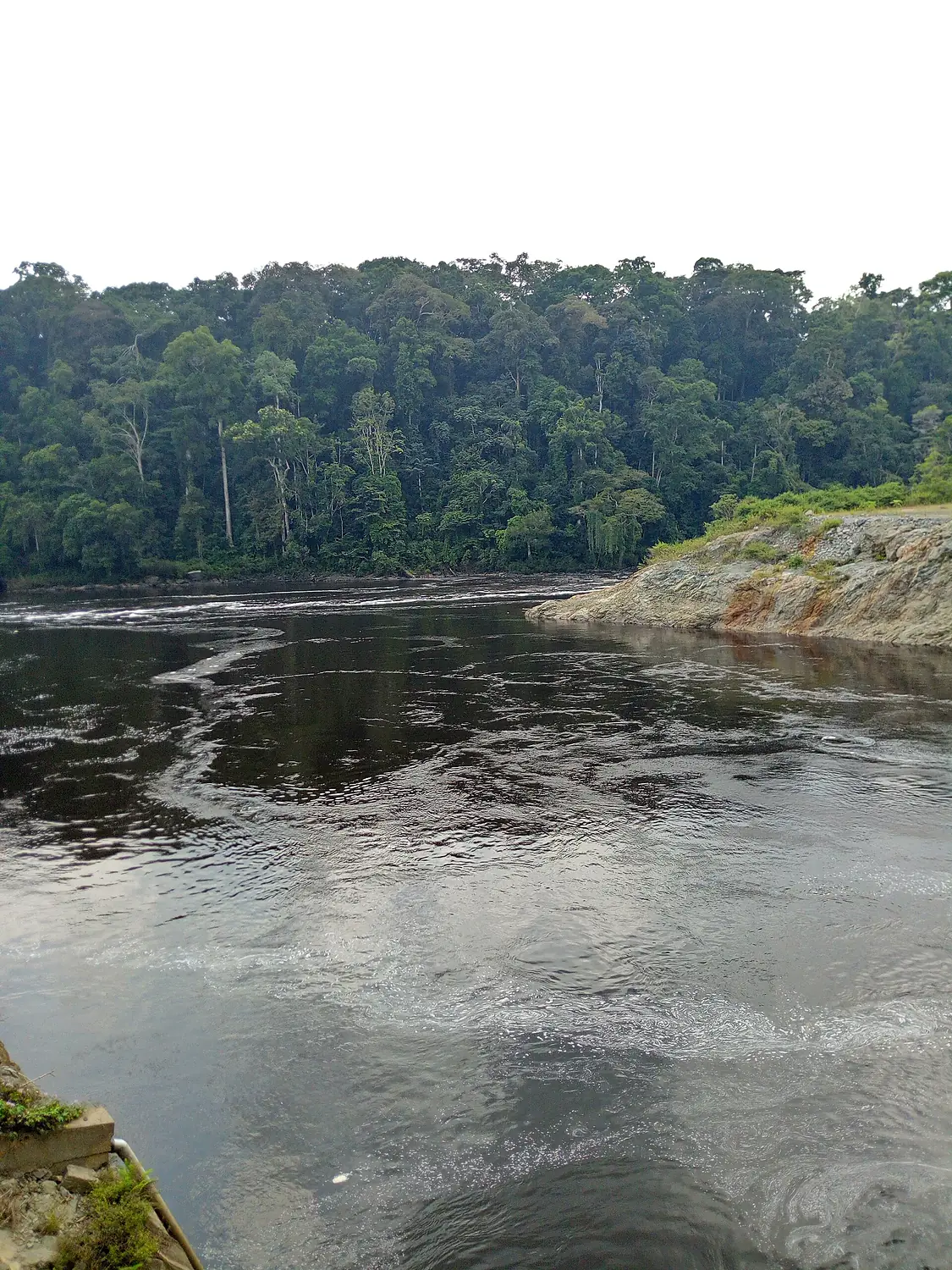 Fleuve Ntem, région du sud Cameroun (forêt tropicale)