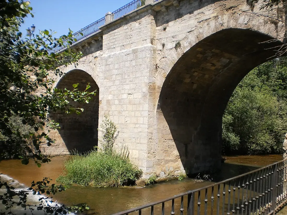Puente carrión condes