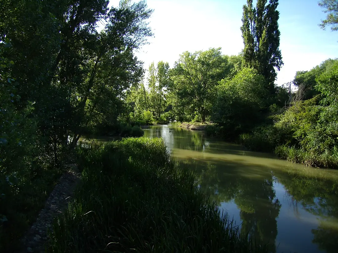 Rio Carrion