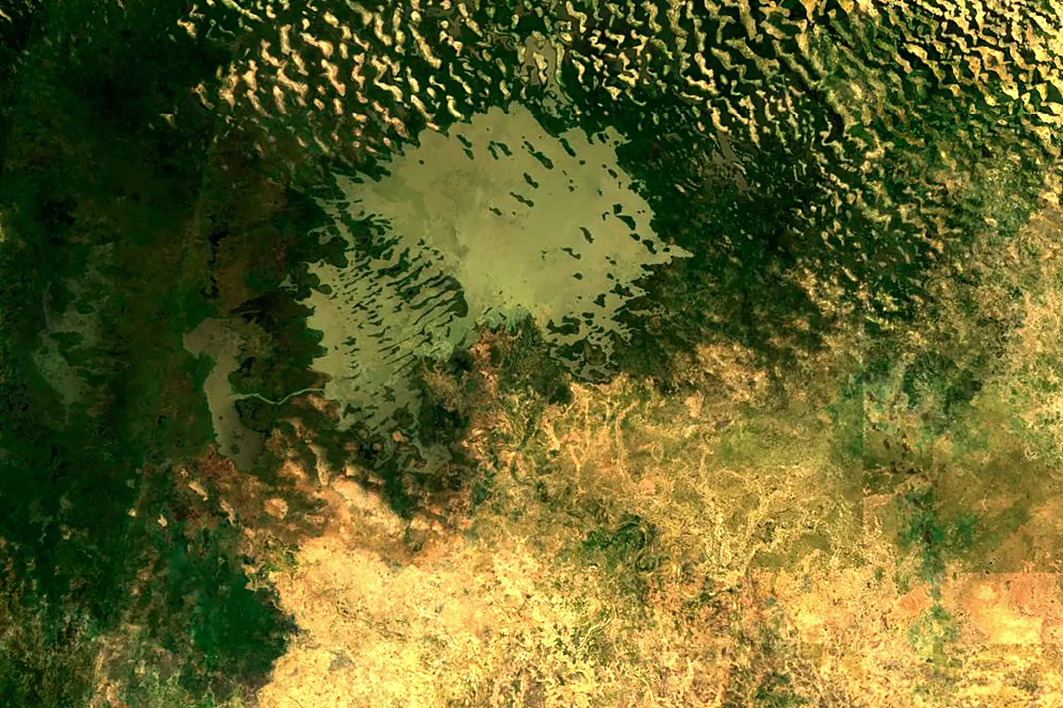 Chari River: satellite view of the mouth