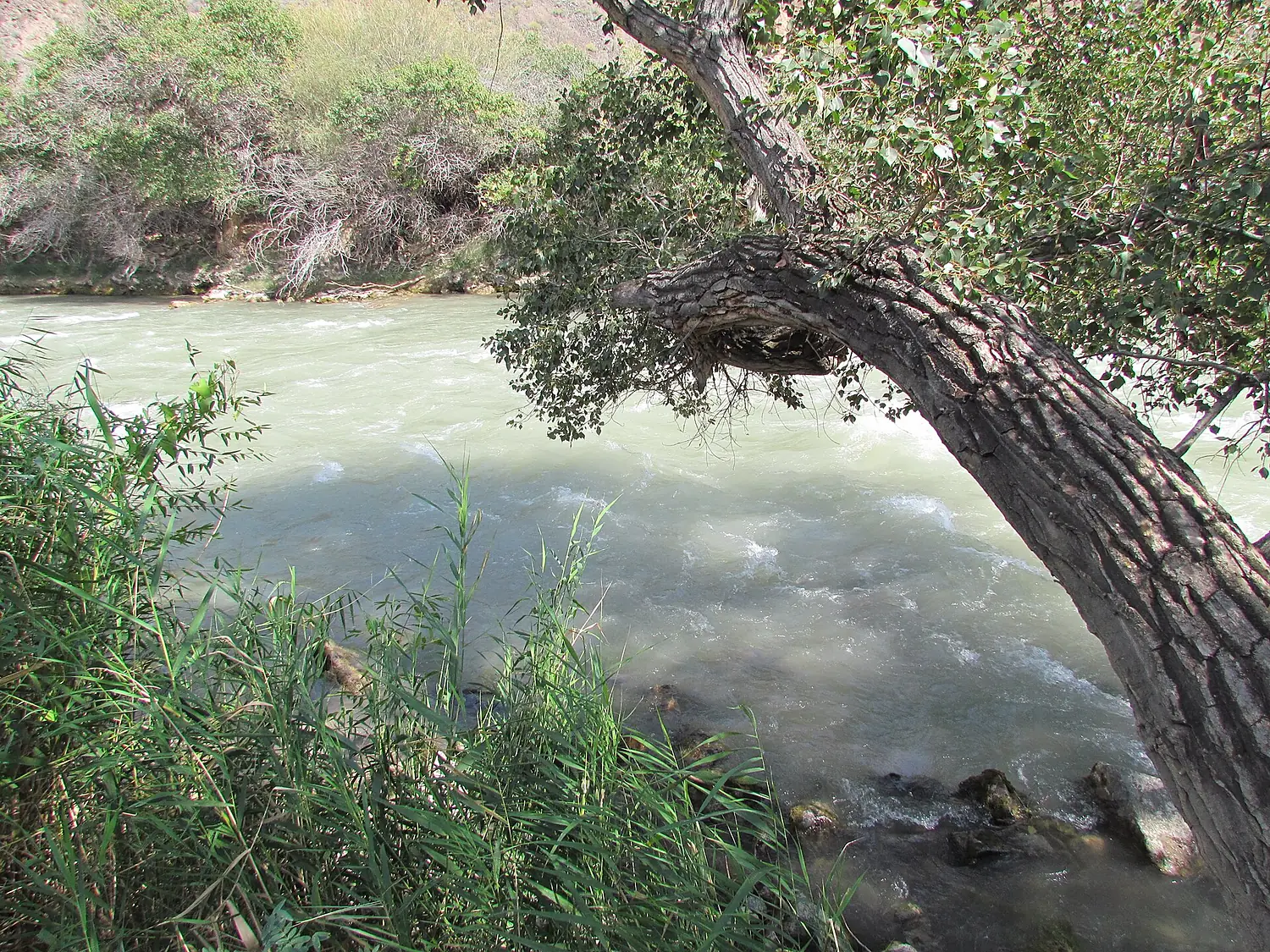 Sharyn River