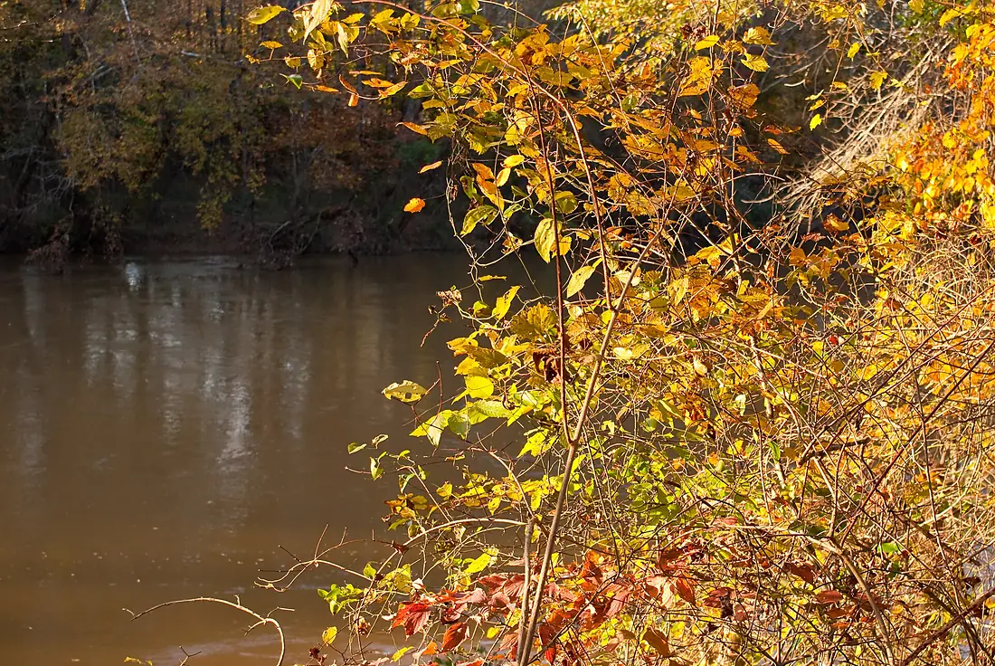 Fall at the Chattahoochee River